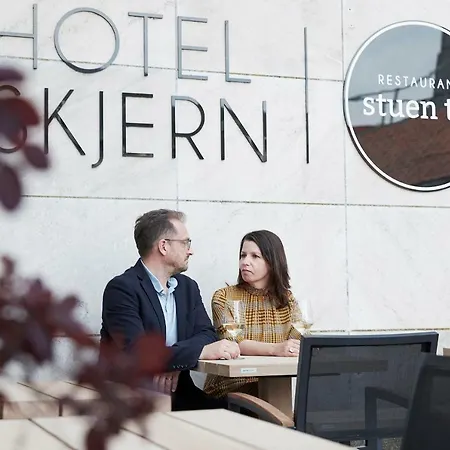 Отель Hotel Skjern 3*